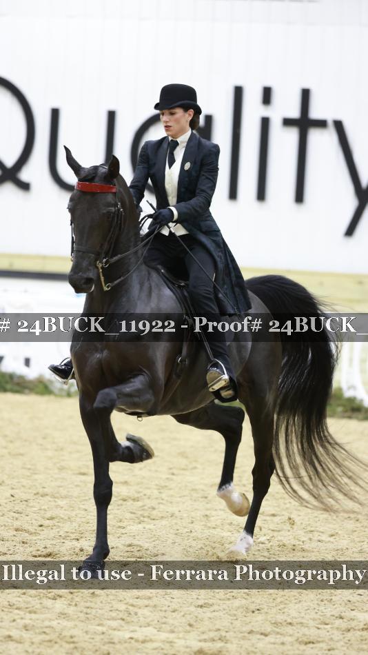 Proof 24BUCK_11922