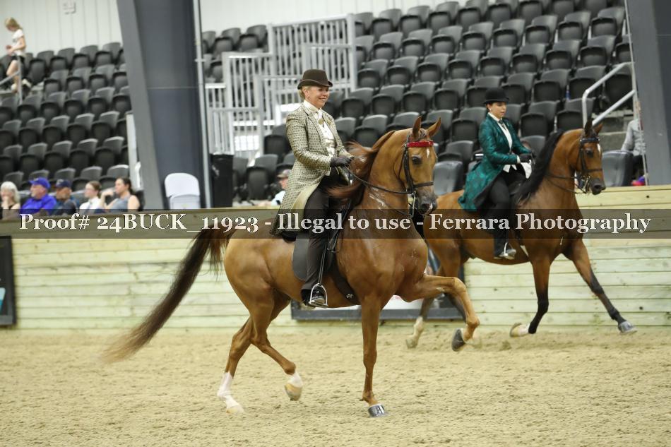 Proof 24BUCK_11923
