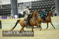 24BUCK_11923 proof