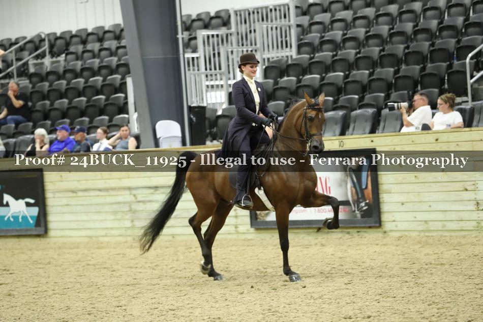 Proof 24BUCK_11925