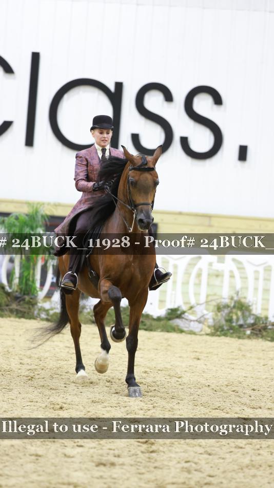 Proof 24BUCK_11928