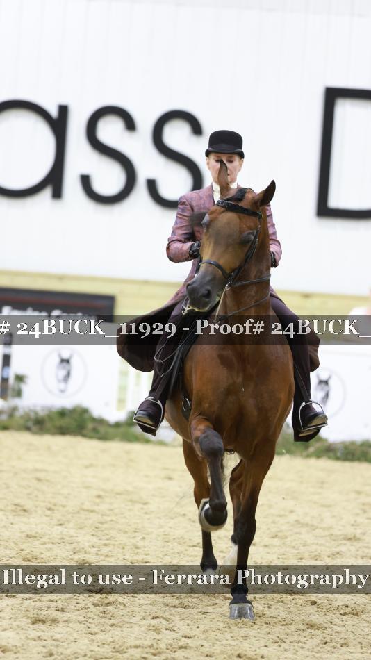 Proof 24BUCK_11929