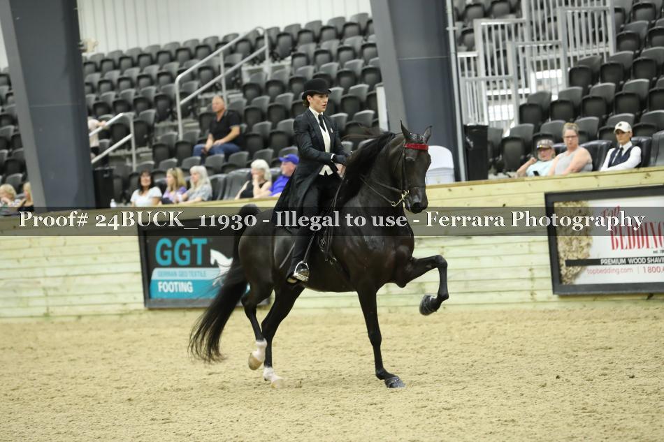 Proof 24BUCK_11930