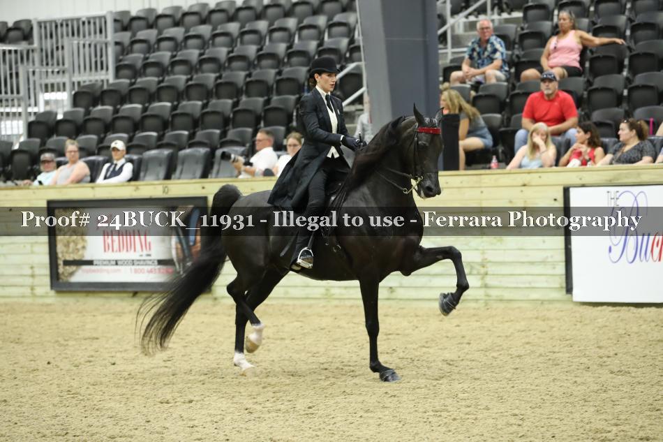 Proof 24BUCK_11931