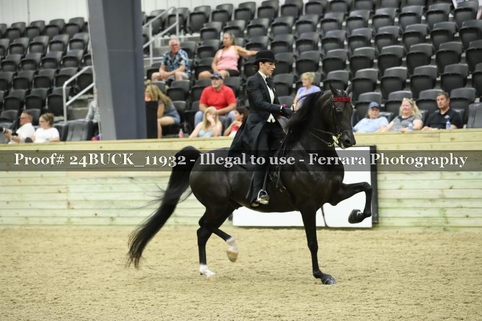 Proof 24BUCK_11932