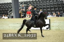 24BUCK_11932 proof
