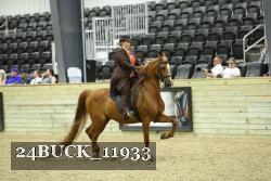 24BUCK_11933 proof