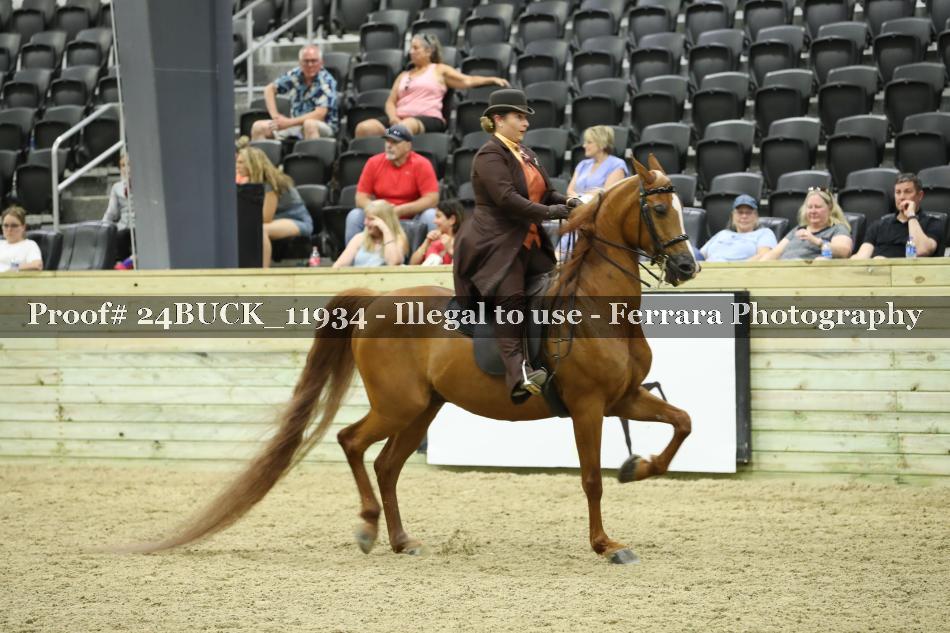 Proof 24BUCK_11934
