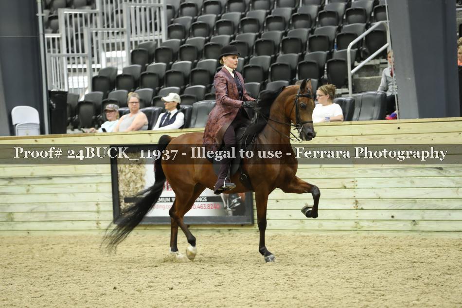Proof 24BUCK_11937