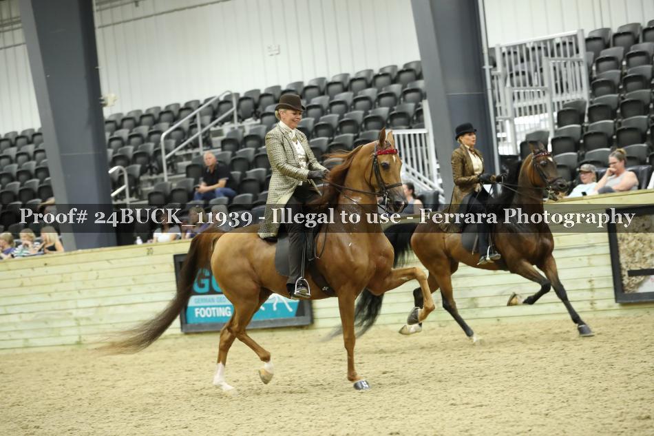 Proof 24BUCK_11939