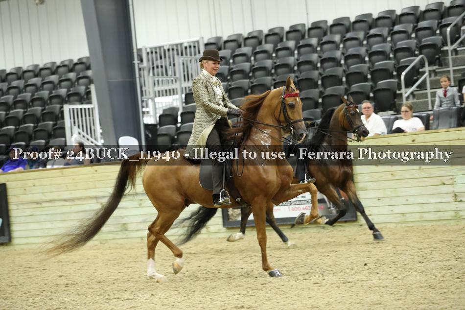 Proof 24BUCK_11940