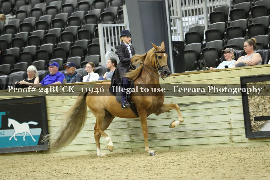 Proof 24BUCK_11946