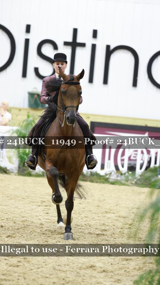 Proof 24BUCK_11949