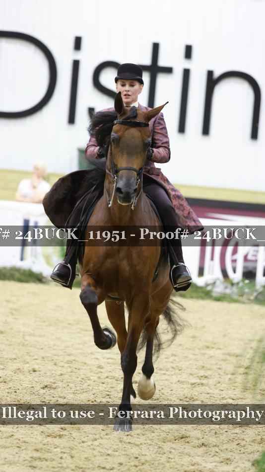 Proof 24BUCK_11951