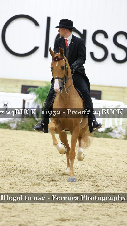 Proof 24BUCK_11952