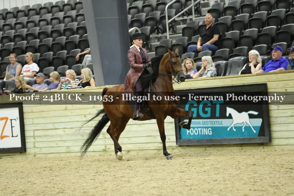 Proof 24BUCK_11953