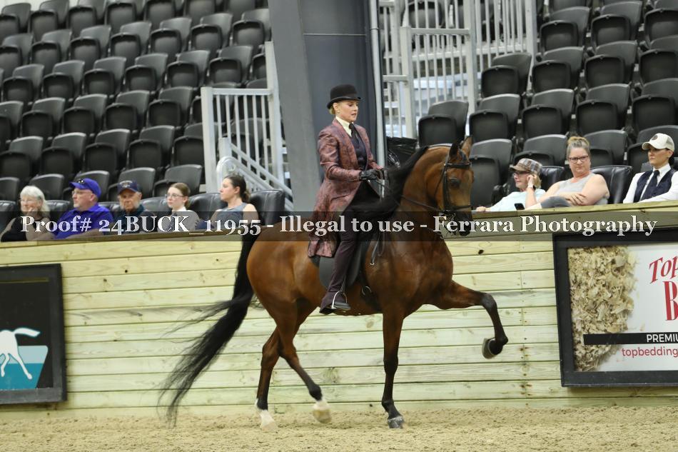 Proof 24BUCK_11955