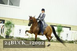 24BUCK_12092 proof