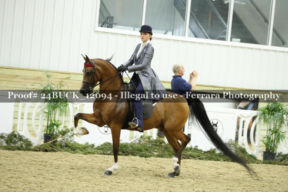 Proof 24BUCK_12094