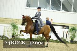 24BUCK_12094 proof