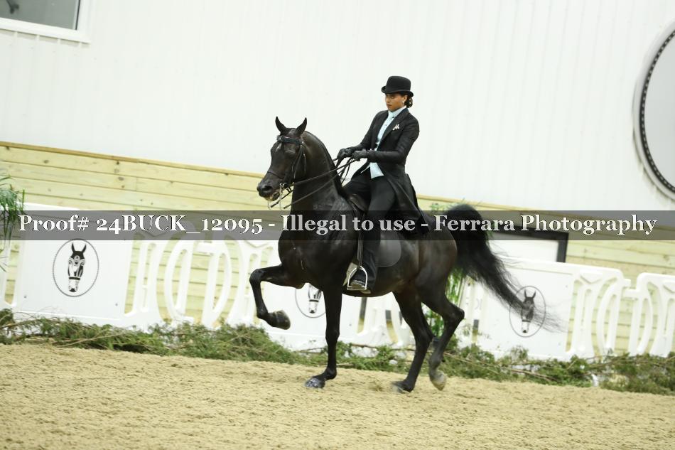 Proof 24BUCK_12095