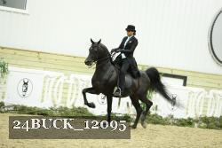 24BUCK_12095 proof