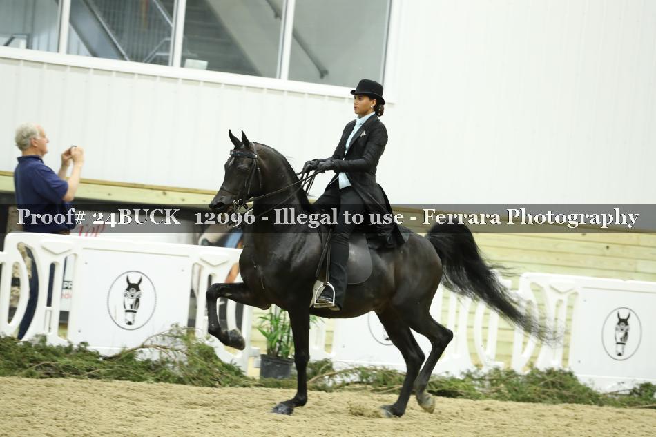 Proof 24BUCK_12096