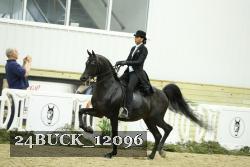 24BUCK_12096 proof