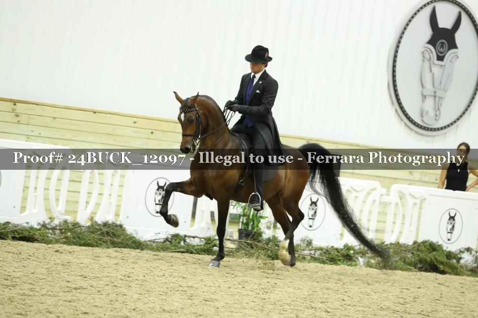 Proof 24BUCK_12097