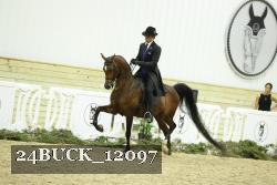 24BUCK_12097 proof