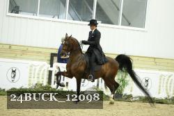 24BUCK_12098 proof