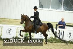 24BUCK_12099 proof