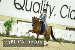 24BUCK_12100 proof