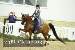 24BUCK_12103 proof