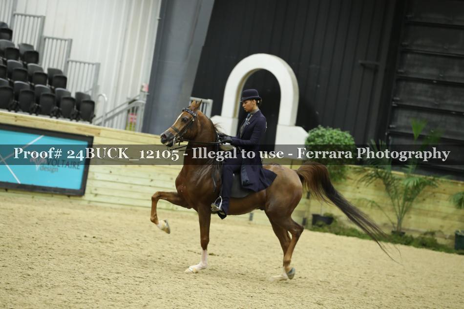 Proof 24BUCK_12105