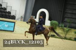 24BUCK_12105 proof