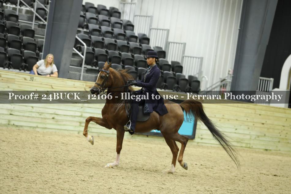 Proof 24BUCK_12106