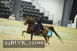 24BUCK_12106 proof