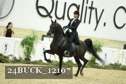 24BUCK_12107 proof
