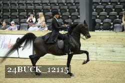24BUCK_12115 proof