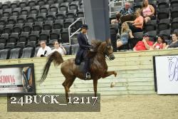 24BUCK_12117 proof
