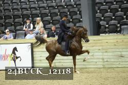 24BUCK_12118 proof