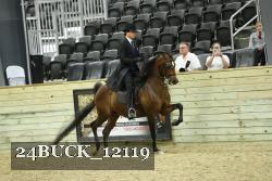 24BUCK_12119 proof