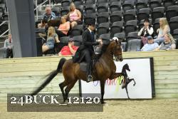 24BUCK_12120 proof