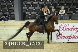 24BUCK_12121 proof