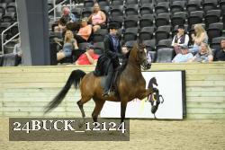 24BUCK_12124 proof