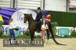24BUCK_12134 proof