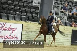 24BUCK_12141 proof