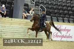 24BUCK_12142 proof