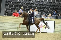 24BUCK_12144 proof